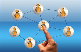 mk体育电脑版-德国队与国际乒联混合团体世界杯赛制的互动与挑战，德国队乒乓